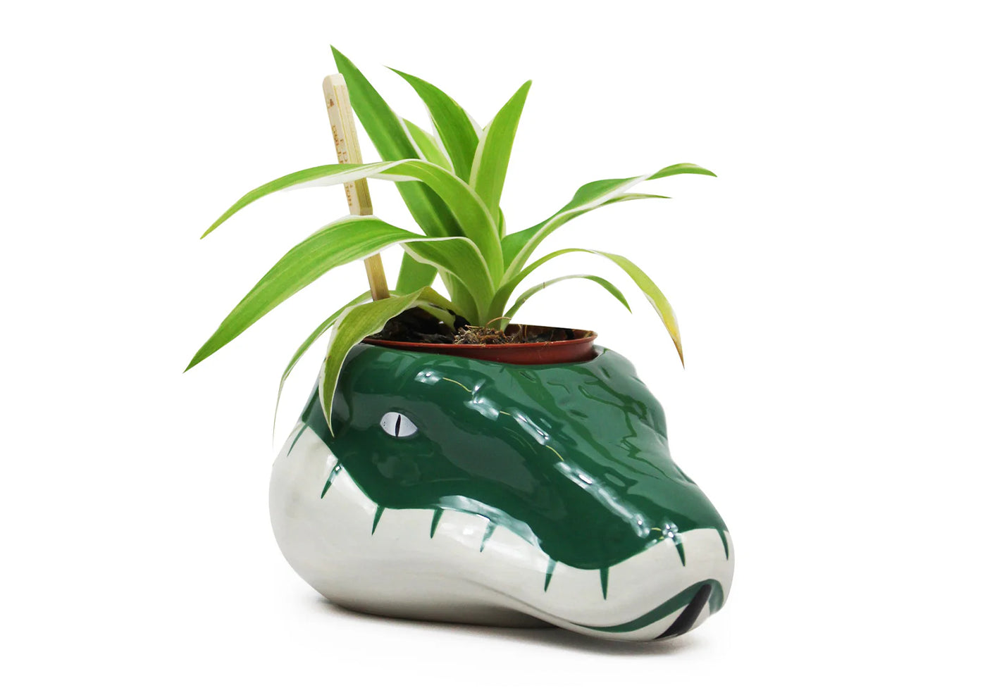 Harry Potter (Slytherin) Planter