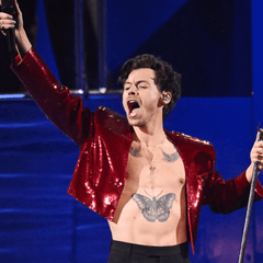 Harry Styles - Jazzy Giraffe