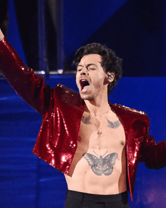 Harry Styles - Jazzy Giraffe