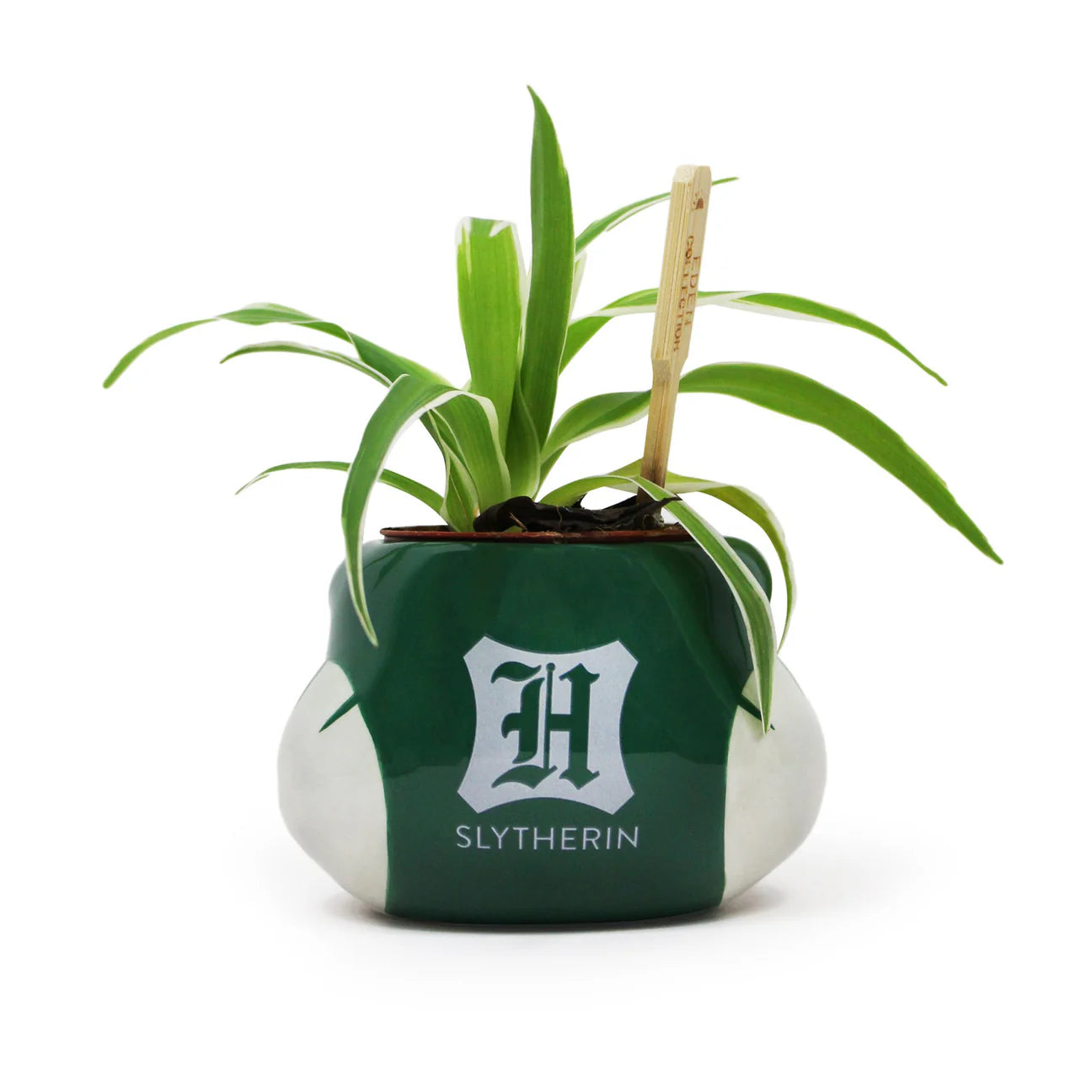 Harry Potter (Slytherin) Planter
