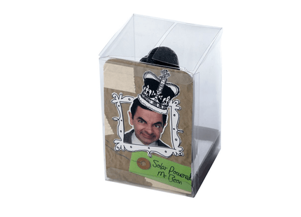 Mr Bean Solar Pal