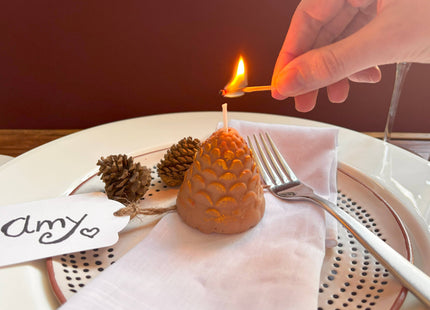 Pine Cone Christmas Scented Candle