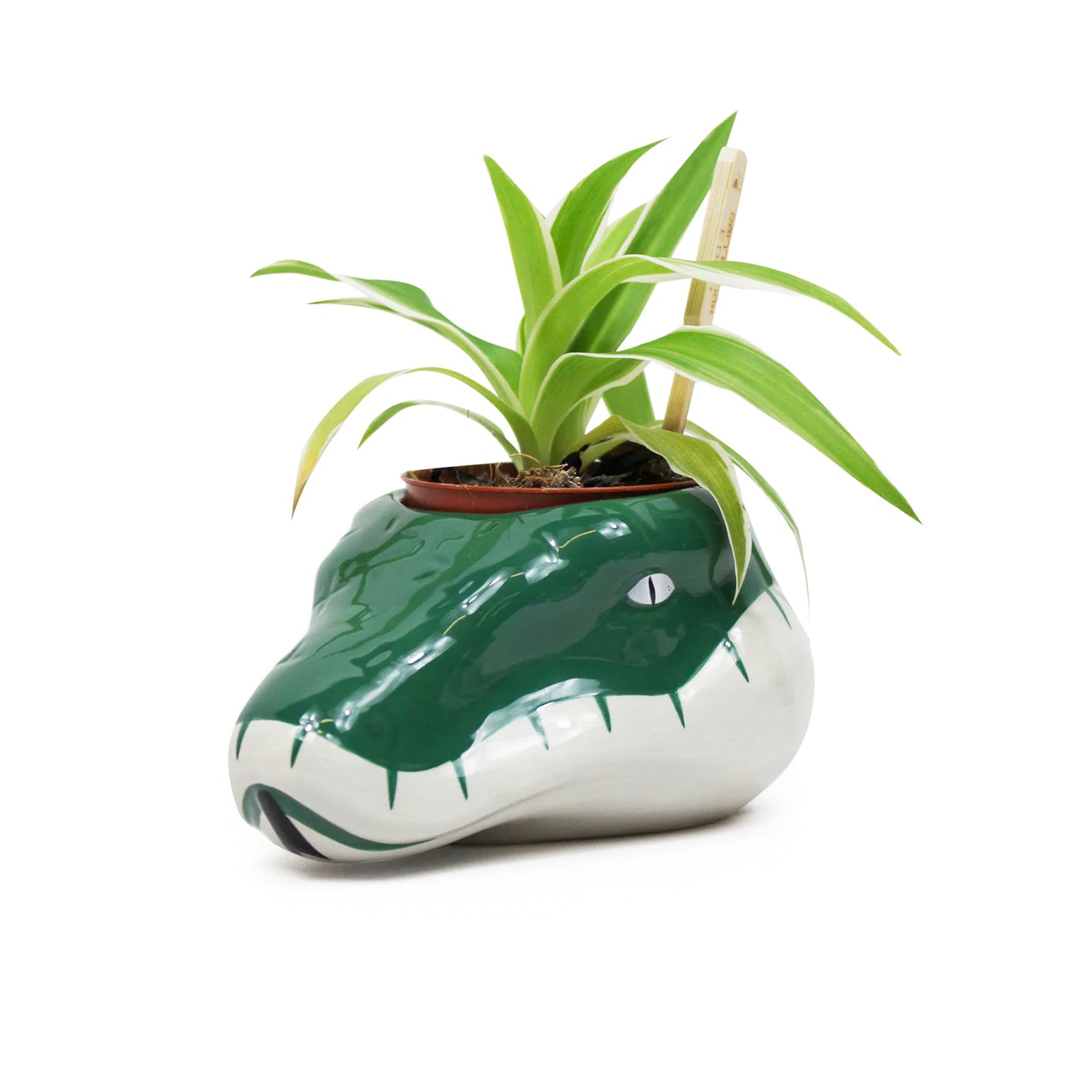 Harry Potter (Slytherin) Planter